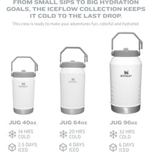 Load image into Gallery viewer, STANLEY IceFlow 2.0 Flip Straw Jug with Handle 40 oz | Twist On Lid and Flip Up Straw | Leakproof for Travel and Sports | Insulated Stainless Steel |BPA-Free | Lilac_5517
