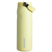 Load image into Gallery viewer, STANLEY IceFlow Flip Straw 2.0 Bottle, 24 oz, Pomelo_1
