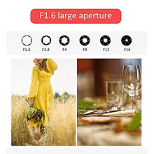 Load image into Gallery viewer, Tilt Shift Lens, 50mm F1.6 for .M Mount Tilt Shift Manual Full Frame Lens for Mirrorless Camera_767
