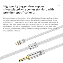 Load image into Gallery viewer, TWISTURA D-Minor In-ear Headphones with Microphone, 10mm Dynamic Driver Earbud Headphones, Noise Isolation Wired Earphone with Interchangeable Sound Tube Filter Mouthpiece, Wired Ear Buds for Phone,PC, Black_2040
