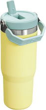 Load image into Gallery viewer, Stanley IceFlow Flip Straw Tumbler with Handle 30 oz | Twist On Lid and Flip Up Straw | Leak Resistant Water Bottle | Insulated Stainless Steel |BPA-Free | Pomelo
