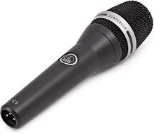Load image into Gallery viewer, AKG Pro Audio C5 Professional Condenser Vocal Microphone

