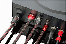 Load image into Gallery viewer, AudioQuest NRG-X3 Power Cable for Amplifiers and Power Conditioners - 3.28 ft (1m)
