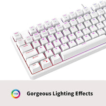 Load image into Gallery viewer, CIY X77 Hot-Swappable Mechanical Keyboard/RGB Gaming Keyboard/USB C/Anti Ghosting/N-Key Rollover/Compact Layout 87 Key/Detachable Magnetic Upper Cover/Wired Keyboard for Mac Windows
