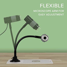 Load image into Gallery viewer, Plugable USB 2.0 Digital Microscope with Flexible Arm Observation Stand Compatible with Windows, Mac, Linux (2MP, 250x Magnification)
