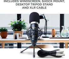 Load image into Gallery viewer, Marantz Pro MPM1000 - Studio Recording Condenser Microphone with Shockmount, Desktop Stand and Cable û Perfect for Podcasting and Voiceover Projects, MPM-1000 XLR Mic
