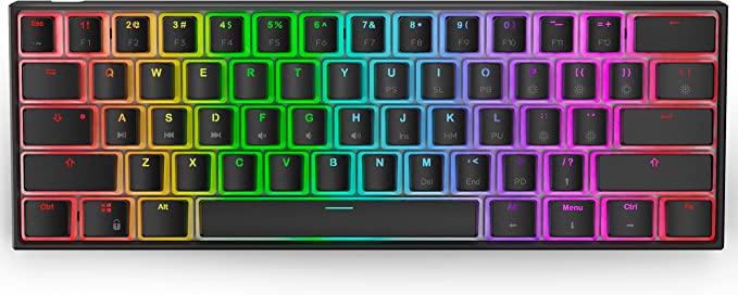 Ractous RTK61 60% Mechanical Gaming Keyboard with PBT Pudding keycap, RGB Backlit Hot Swappable Type-C 61Key Ultra-Compact Keyboard with Full Key Programmable-Black(Gateron Optical Clear Switch)