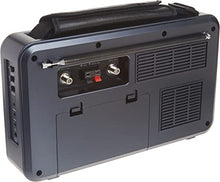 Load image into Gallery viewer, Eton Elite Field AM/FM/Shortwave Desktop Radio with Bluetooth
